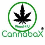 weed delivery europe online