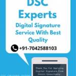 Dsc Experts