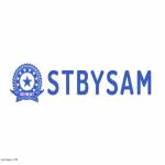 sbtysam Profile Picture
