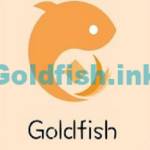 Goldfish vay tiền
