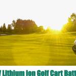 24 Volt Lithium Ion Golf Cart Battery Profile Picture