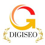 Digiseo vn