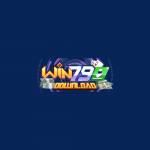 WIN79 Download
