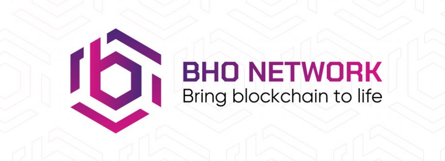 BTC Dominance BHO Network