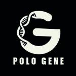 polo gene