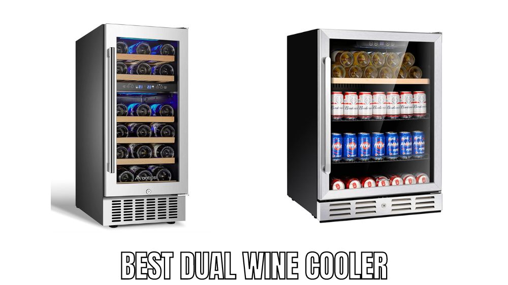 Top 10 Best Dual Wine Cooler Reviews in 2023
