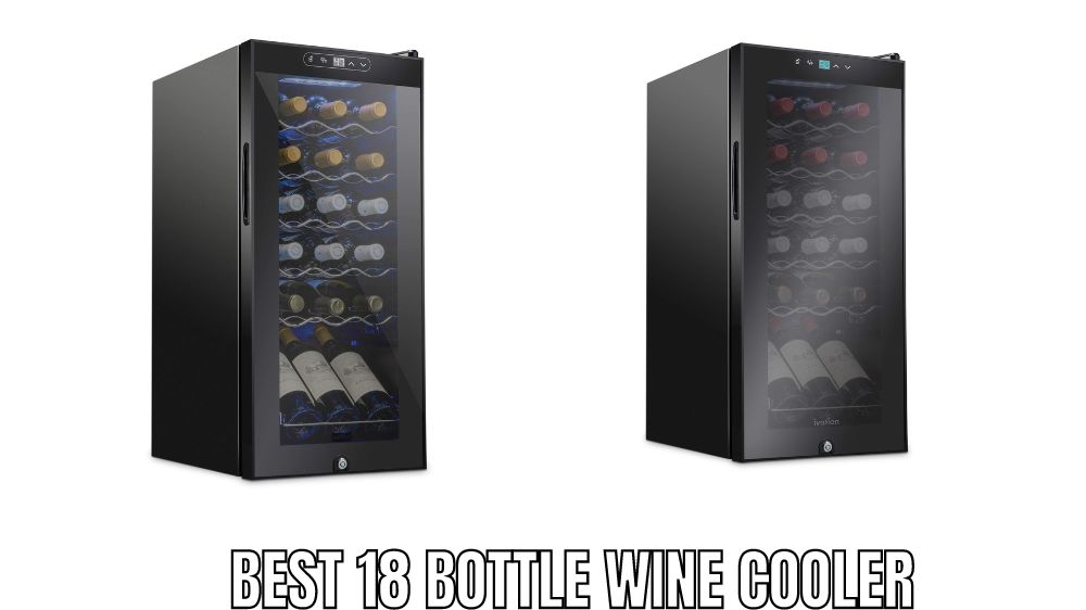 Top 10 Best 18 Bottle Wine Cooler Reviews in 2023 - Alfredo's Pizza Online