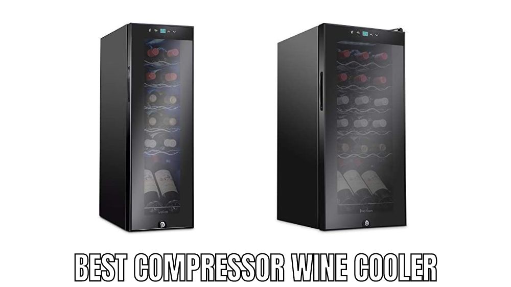 Top 10 Best Compressor Wine Cooler Reviews in 2023