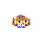 Rio66 net