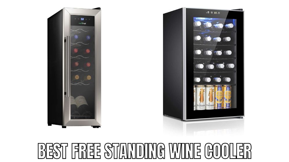 Top 10 Best Free Standing Wine Cooler Reviews in 2023 - Alfredo's Pizza Online
