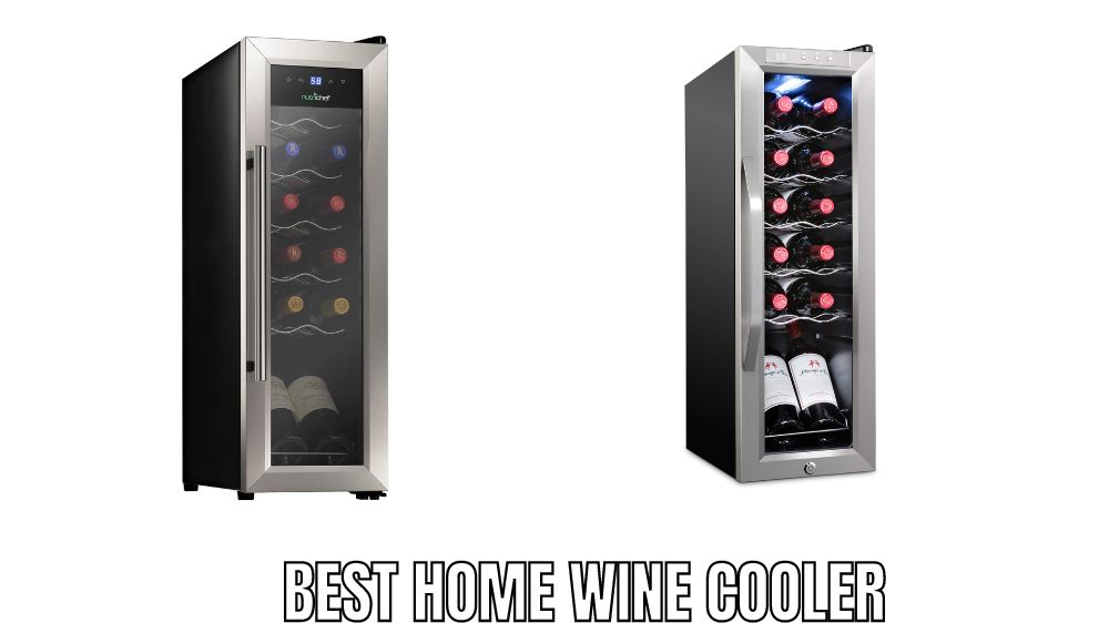 Top 10 Best Home Wine Cooler Reviews in 2023 - Alfredo's Pizza Online