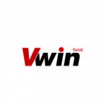 Vwin fund profile picture