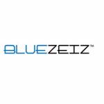 Bluezeiz Company