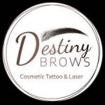 Destiny Brows Cosmetic Tattoo & Laser