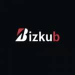 BizKub3 Net