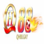 QH88 Gay