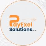 Payexel solutions Profile Picture