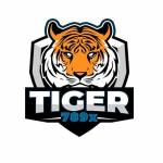 tiger 789x profile picture