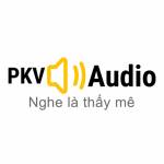 PKV Audio