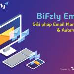 Bizfly Email