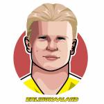 erling haaland Profile Picture