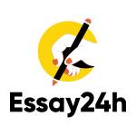 essay 24h