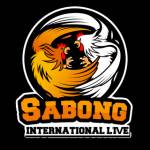 Sabong International