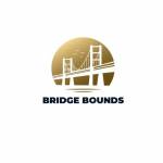 Bridge Bounds