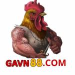 GaVN88.COM