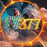 SV377.COM