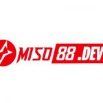 miso88dev Profile Picture