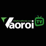 VaoroiTV | Link Xem Trực Tiếp Bóng Đá Vaoroi TV