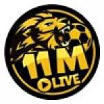 11Mlive Sport profile picture