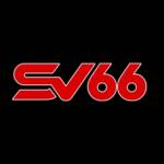 Sv66 Vin Profile Picture