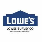 Lowes-Survey.co survey page