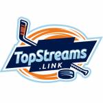 Topstreams Link profile picture