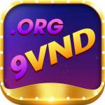 9vnd org