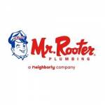 mr rooter