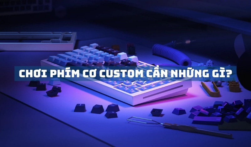 Chơi phím cơ custom cần những gì?